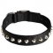 Sophisticated Studded Nylon Dog Colllar for Pitbull