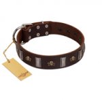 "War Chief" FDT Artisan Genuine Brown Leather Pitbull Collar with Skulls and Plates