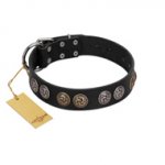 "Mister Exclusive" Designer FDT Artisan Black Leather Pitbull Collar with Medallions