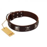"Nut-Brown Finery" Embellished FDT Artisan Brown Leather Pitbull Collar with Chrome Plated Crossbones and Plates