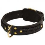 Wide 2 Ply Leather Pit Bull Collar with Braiding