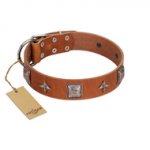 "Lucky Star" FDT Artisan Tan Leather Pitbull Collar with Silver-Like Embellishments