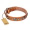 "Era of Future" FDT Artisan Handcrafted Tan Leather Pitbull Collar with Decorations