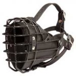Black Rubber Covered Wire Cage Pit Bull Muzzle for winter activities