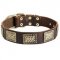 Walking Leather Pitbull Collar with Vintage Brass Plates