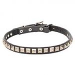 'King Studs' Leather Pitbull Collar with Chrome Plated Adornments - 4/5 inch (20 mm)