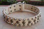 Strong Leather Dog Collar for Pitbull with Studs and Pyramids