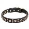 "Vintage Legacy" 1 1/4 inch (30 mm) Pit Bull Dog Collar Decorated