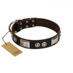 "Baller Status" FDT Artisan Brown Leather Pitbull Collar Adorned with a Set of Chrome Plated Studs and Plates