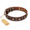 'High Fashion' FDT Artisan Embellished Brown Leather Pitbull Collar