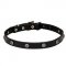 'Cloak and Sword' Pit Bull Dog Collar for Walking - 3/4 inch (20 mm) wide