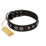"Tricky Ricky" FDT Artisan Black Leather Pitbull Collar Adorned with Silver-Like Conchos