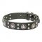 Leather Pitbull Collar with Mixed Nickel Decorations