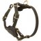 Lightweight Leather Dog Harness for Pitbull Puppies