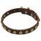 Designer Leather Pit Bull Collar With Dotted Brass Circles