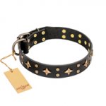 'A La Mode' FDT Artisan Handmade Black Leather Pitbull Collar