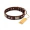 "Pirate Skull" FDT Artisan Brown Leather Pitbull Collar with Old Silver Look Plates and Skulls