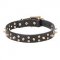 "Space Travel" 1 1/5 inch - 30 mm Leather Pitbull Collar with Brass Stars and Spikes