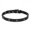 'Sparkling Beauty' Pit Bull Leather Dog Collar with Engraved Studs - 3/4 Inch (20 mm) wide