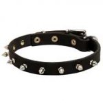 Spiked Leather Dog Collar for Pitbull