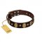 "Natural Grace" FDT Artisan Handmade Decorated Brown Leather Pitbull Collar