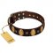 "Crystal Mirror" FDT Artisan Handmade Brown Leather Pitbull Collar - 1 1/2 inch (40 mm) Wide