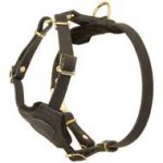 Lightweight Leather Dog Harness for Pitbull Puppies