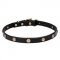 'Sunny Beams' Pit Bull Dog Collar with Beautifully Engraved Studs - 3/4 inch (20 mm) wide