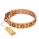 'Sophisticated Glamor' FDT Artisan Pitbull Tan Leather Dog Collar with Fashionable Old-Bronze Plated Decorations