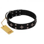 "Snappy Dresser" FDT Artisan Black Leather Pitbull Collar Adorned with Stars and Tiny Squares