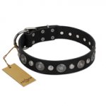 "Vintage Elegance" FDT Artisan Black Leather Pitbull Collar with Engraved Brooches and Studs