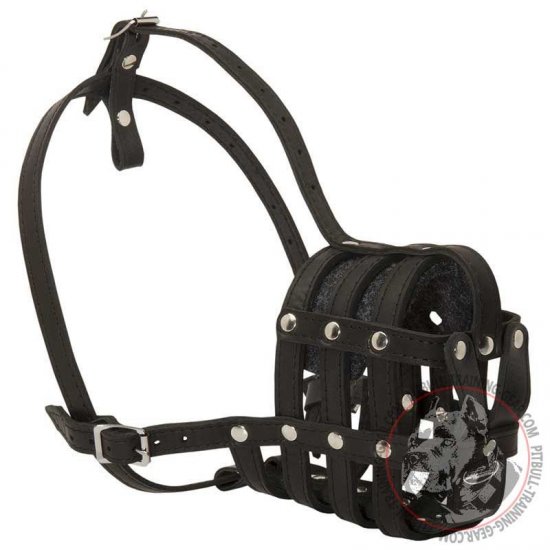 mesh muzzle for pitbull