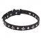 "Pleiades" 1 inch (25 mm) Pit Bull Dog Collar with Chrome Plated Fineries