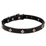 Rhombic Design Pit Bull Leather Dog Collar