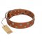 "Ancient Symbol" Trendy FDT Artisan Tan Leather Pitbull Collar with Silver- and Gold-Like Studs