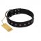 "Flower Rhapsody" FDT Artisan Premium Quaulity Black Leather Pitbull Collar