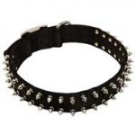 Adjustable Nylon Pitbull Collar with Nickel-Plated Spikes