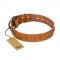 "Autumn Story" FDT Artisan Leather Pitbull Collar with Old Bronze Look Studs