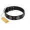 "Boundless Blue" FDT Artisan Black Leather Pitbull Collar with Chrome Plated Brooches and Square Studs