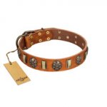"Strike of Rock" FDT Artisan Tan Leather Pitbull Collar with Plates and Medallions with Skulls
