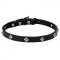 'Cosmic Stars' Narrow Leather Pit Bull Terrier Dog Collar - 3/4 inch (20 mm) wide