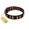 "Peace and Harmony" FDT Artisan Brown Leather Pitbull Collar with Plates