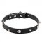 'Pirate' Leather Pitbull Collar with Decorative Skulls and Spikes - 1 inch (25 mm) wide