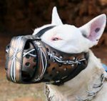 Bull Terrier Hand painted leather Muzzle "Dondi" Plus-BULL TER