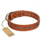 "Star Trek" FDT Artisan Tan Leather Pitbull Collar Decorated with Stars