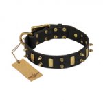 "Medieval Style" FDT Artisan Leather Pitbull Collar with Brass Plates and Spikes