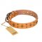 'Top-Flight' FDT Artisan Adorned Tan Leather Pitbull Collar
