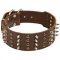 2 inch wide Spiked and Studded Pitbull Collar