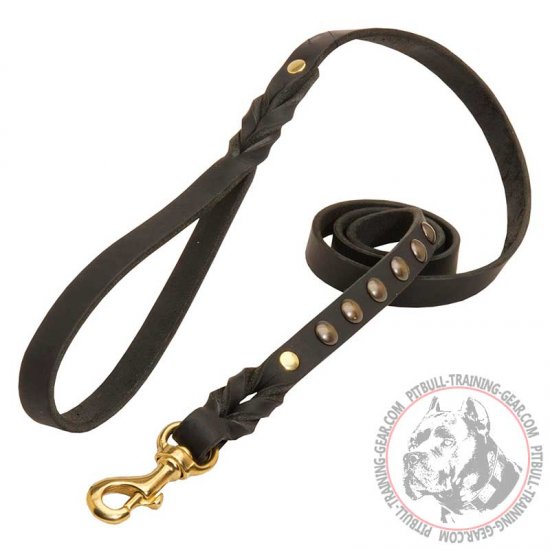 pitbull dog belt