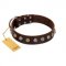 "Gape Buster" FDT Artisan Brown Leather Pitbull Collar with One Row of Studs